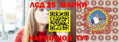 молекула духа Донецк