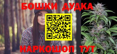 амф Дубна
